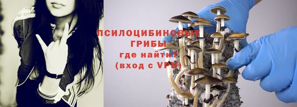 соль ск Алексин